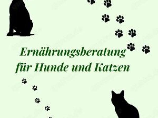 Ernährungsberatung für Hunde & Katzen   Artgerecht & bedarfsgerecht füttern! ab 15 - 1